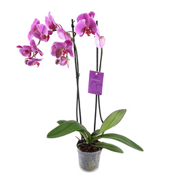 ��������� �������� 2