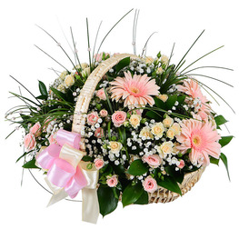 ���������� 3