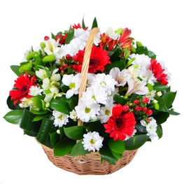 ���������� 6