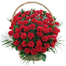 ���������� 7