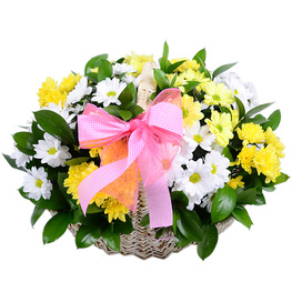 ���������� 10