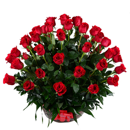 ���������� 11