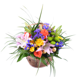 ���������� 16