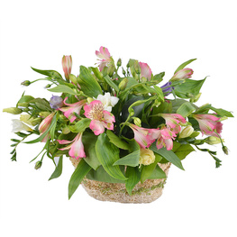 ���������� 17