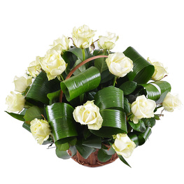 ���������� 19