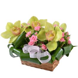 ���������� 22