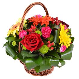 ���������� 23